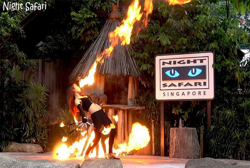 4 Days 3 Night CT with Night Safari and Sentosa Experiential